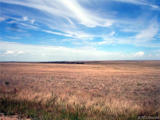 Photo of Listing #9801186